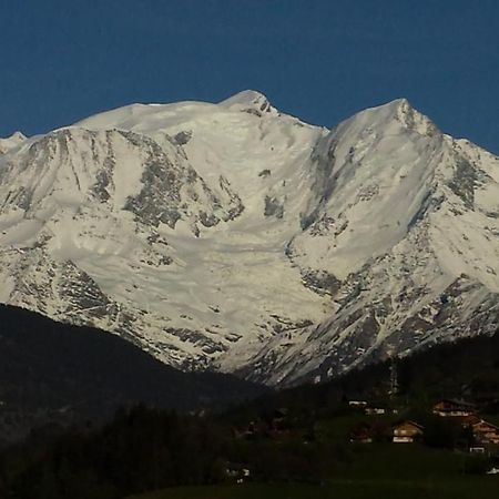 Appart En Rez De Jardin Clos Face Au Mont Blanc Apartment Combloux Bagian luar foto