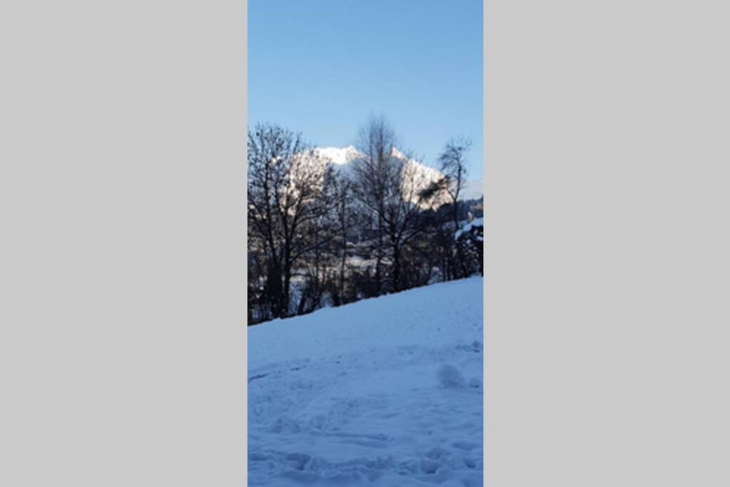 Appart En Rez De Jardin Clos Face Au Mont Blanc Apartment Combloux Bagian luar foto