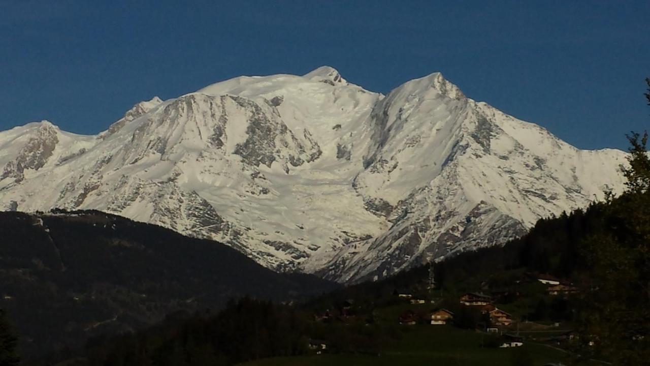 Appart En Rez De Jardin Clos Face Au Mont Blanc Apartment Combloux Bagian luar foto